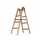 Stehleiter Malerleiter 2x4 Sprossen Holz Doppelleiter